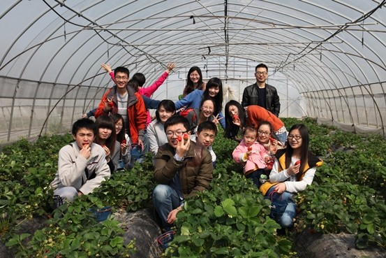 世邦員工采摘草莓 世邦員工采摘草莓